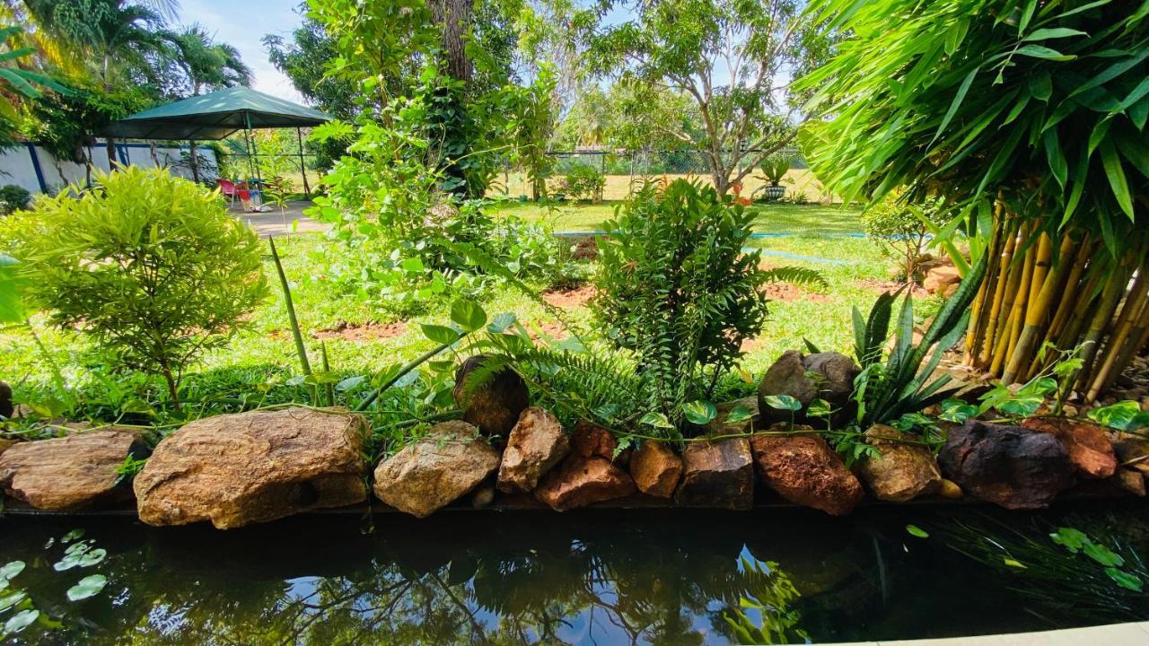 Owin Rose Yala Safari Hotel Tissamaharama Dış mekan fotoğraf
