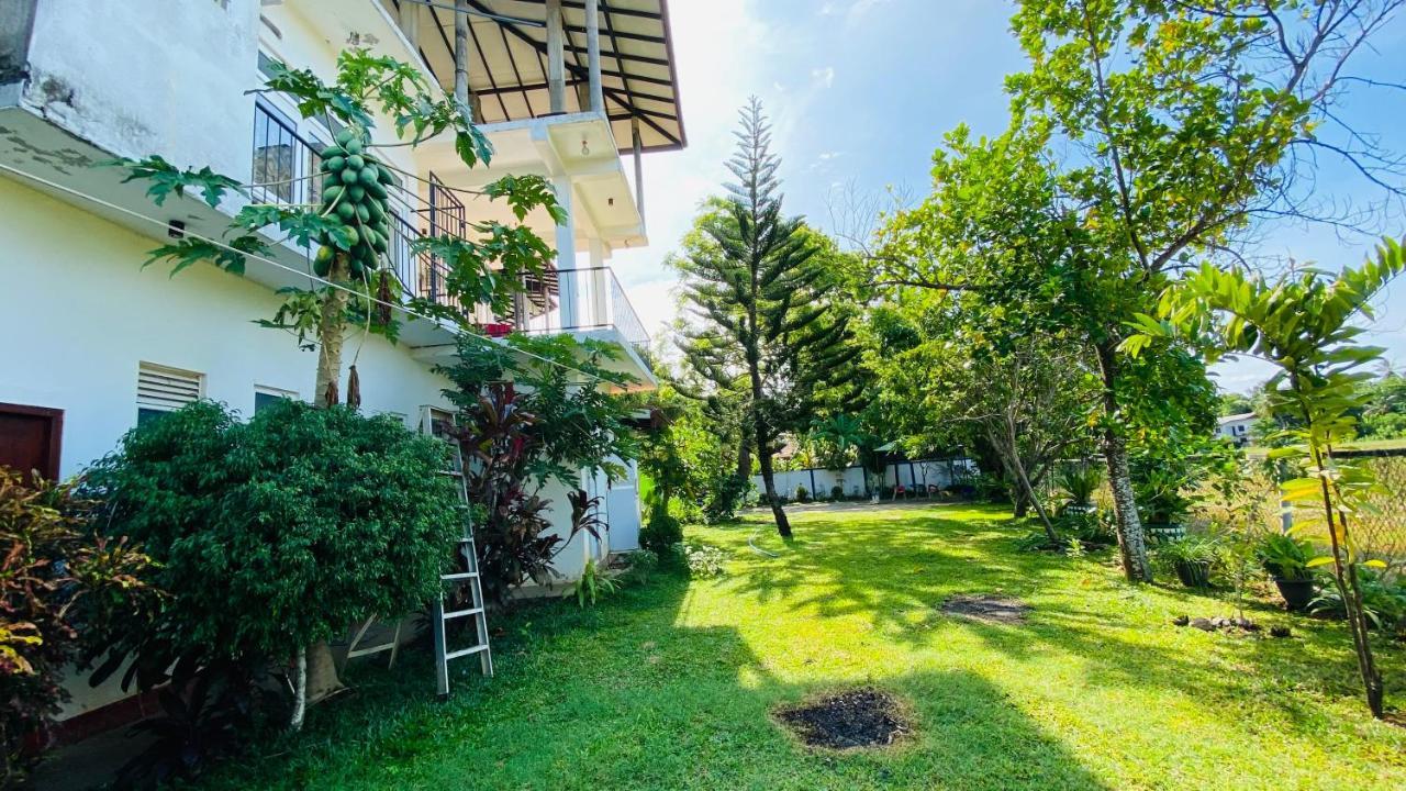 Owin Rose Yala Safari Hotel Tissamaharama Dış mekan fotoğraf